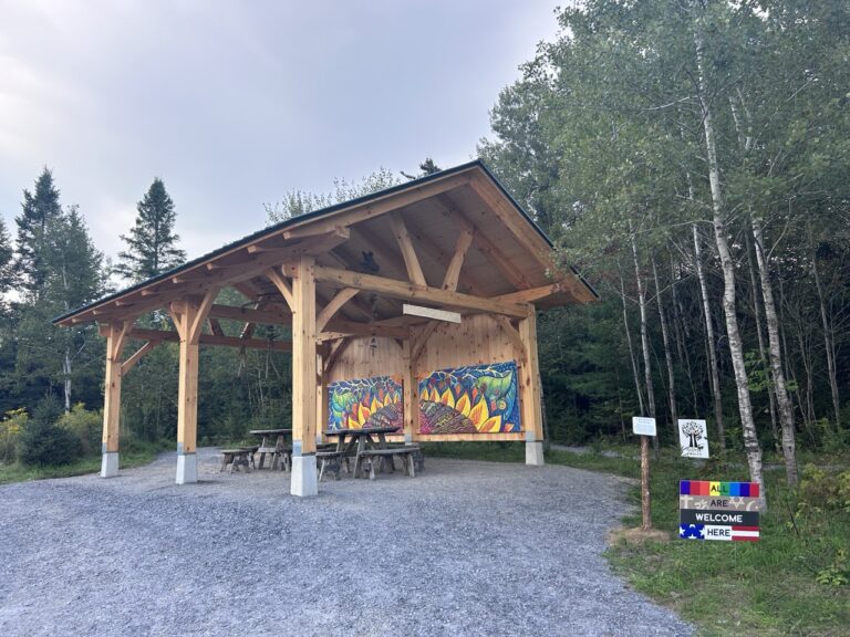 All People’s Park Open